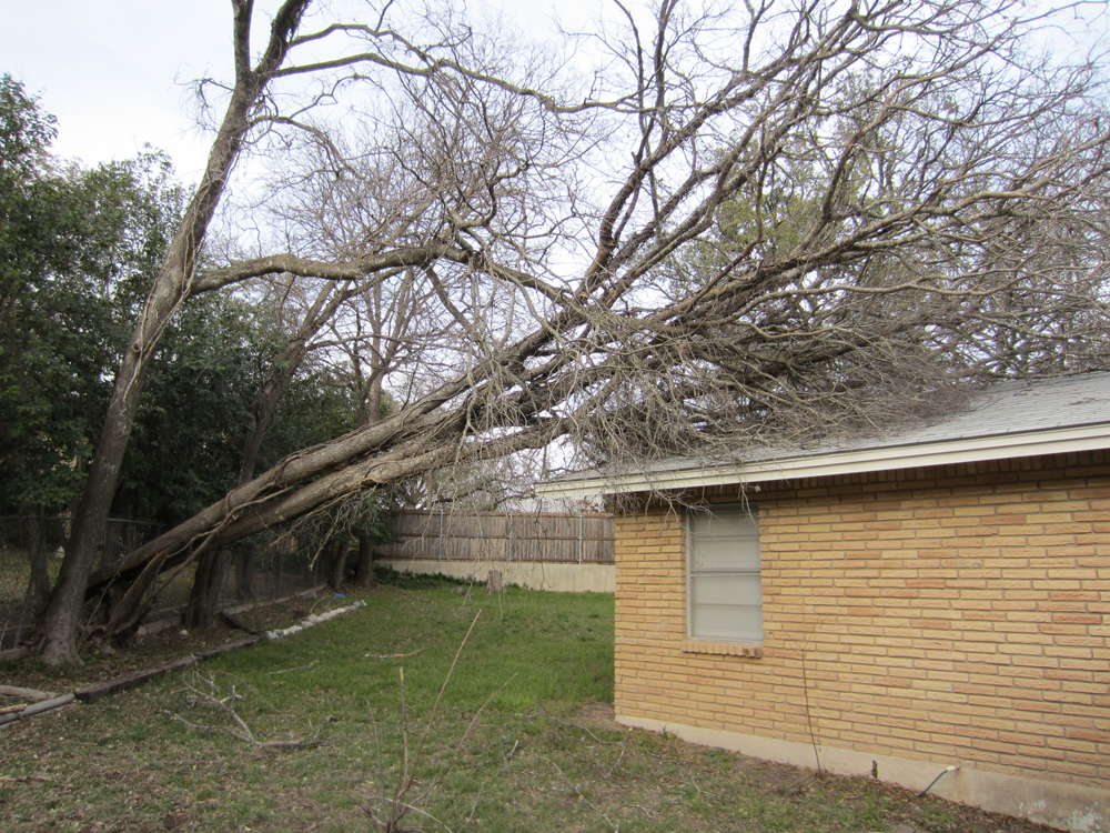 wind_damage